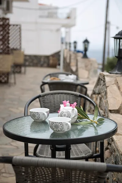 Villa Fiamegou Andros