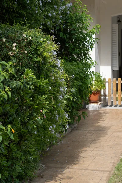Lemonia Accommodations