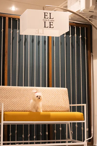 Elle Rooms & Suites