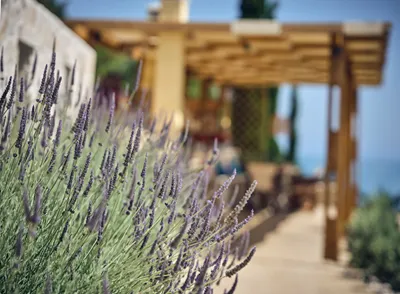 Artemis Villas Zakynthos