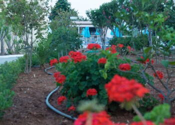 Amaryllis Beach Front Hotel