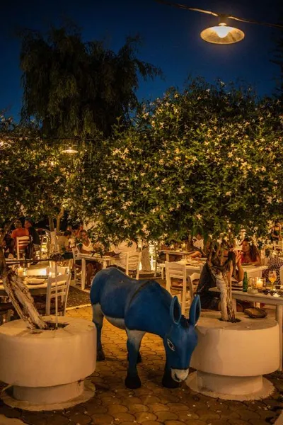 Drossia Residenza Boutique Hotel Malia