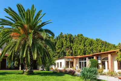 Palladium Hotel Halkidiki