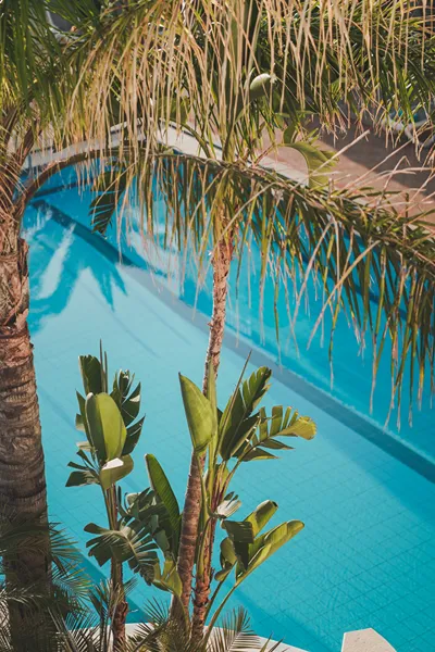 Zeus Village Resort – Adults Only