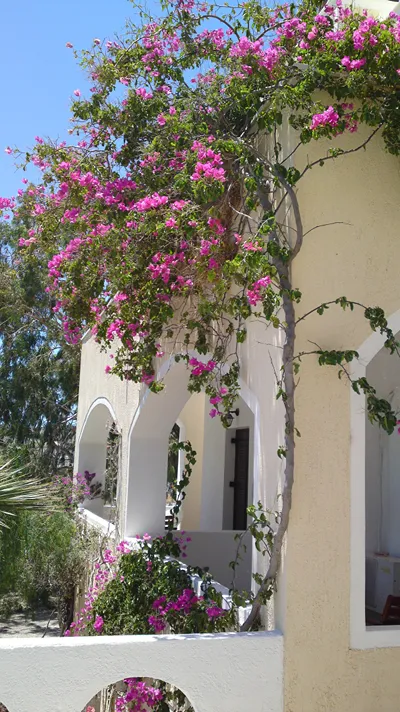 TheArtemis Hotel Perissa