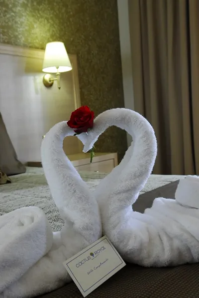 Cactus Royal Hotel