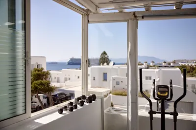 Adonis Hotel Mykonos