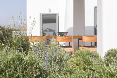 Ammilia Naxos