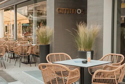 Ammos Seaside Luxury Hotel