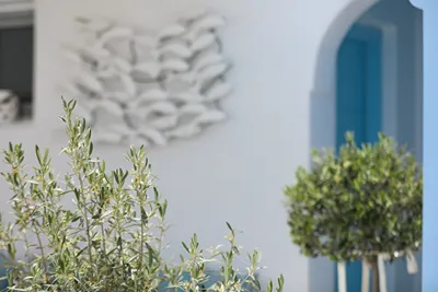 Ibiscus Boutique Hotel Mykonos