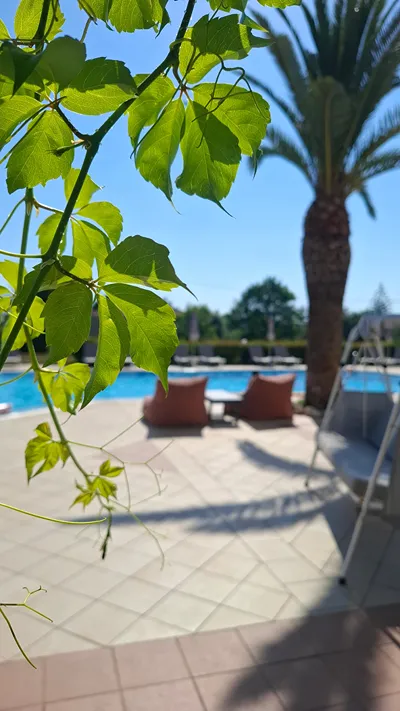 Sunflower Apartments & Studios Zakynthos
