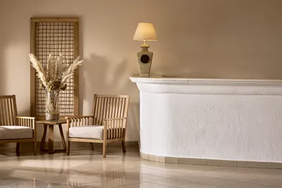 Adonis Hotel Mykonos