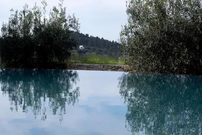Torri e Merli Boutique Hotel