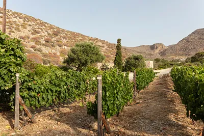 ANEMI Folegandros