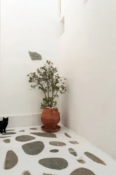 Andriani's Guest House