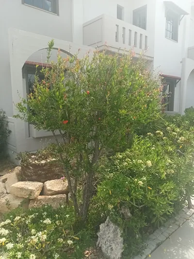 Cathrin Suites Chania