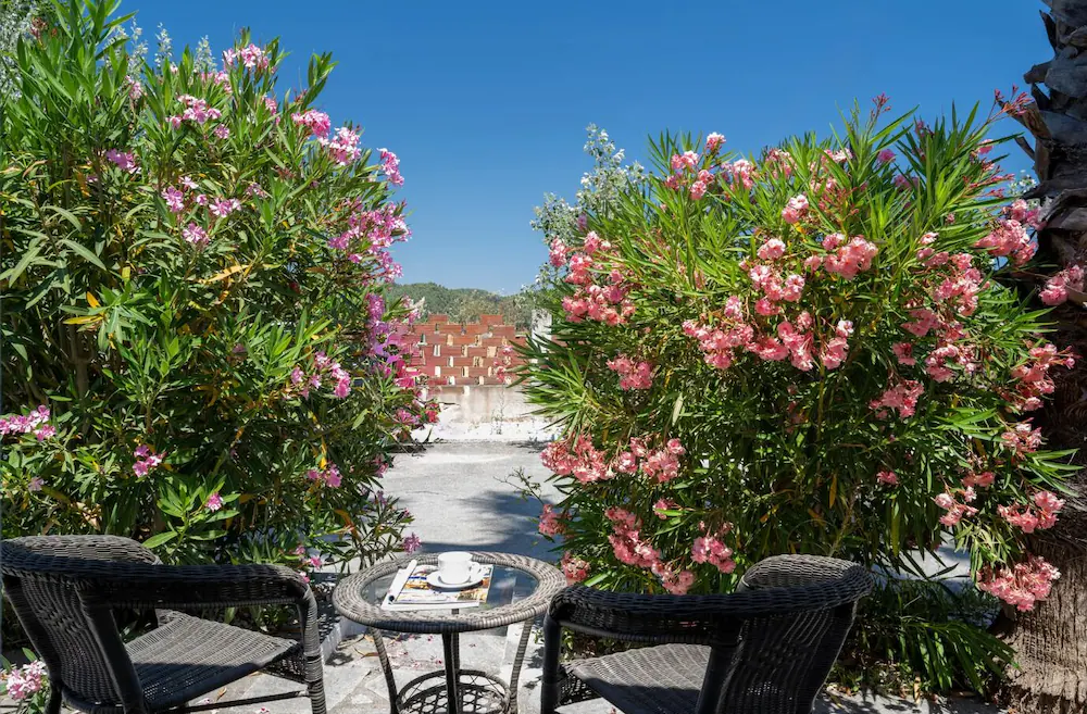 Palma Village Hotel by Greek Pride