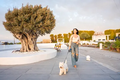 Oia Sunset Villas
