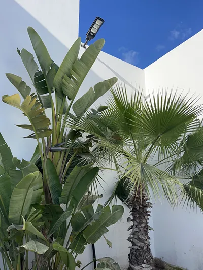 Sunsenses Luxury Villas Paros