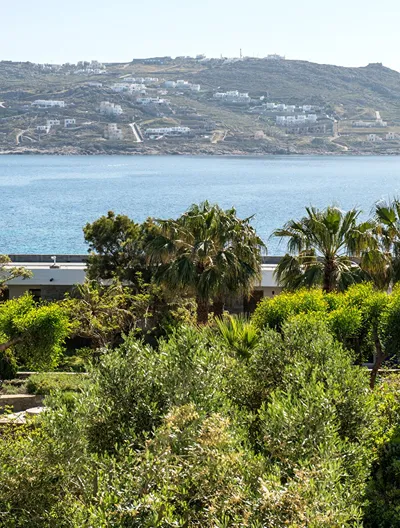 Orpheas Rooms Mykonos