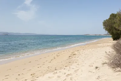 Ammilia Naxos