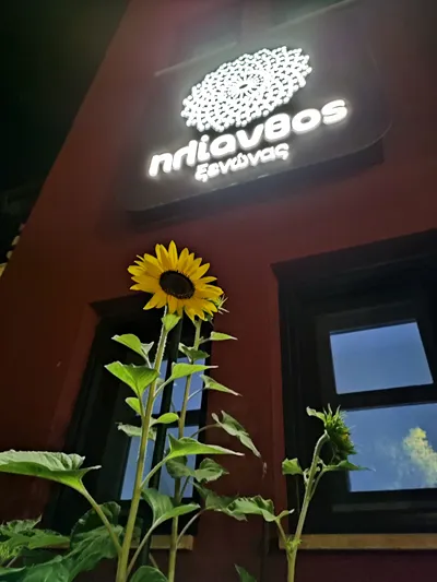 Helianthus Guesthouse