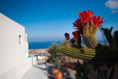 Splendour Hotel and Suites