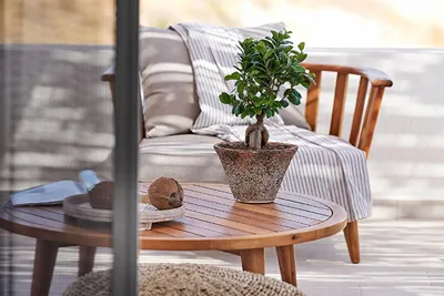 Nirome Luxury Suites