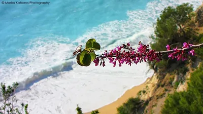 Grand Nefeli Hotel Lefkada