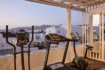 Adonis Hotel Mykonos