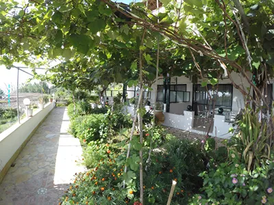 Andromaches Holiday Apartments Corfu