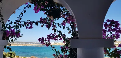 Bocamviglies by The Sea