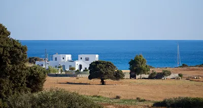 Muses Milos