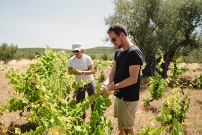 Eumelia Organic Agrotourism Farm