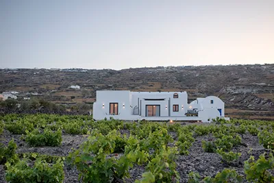 Vinebranch Villas