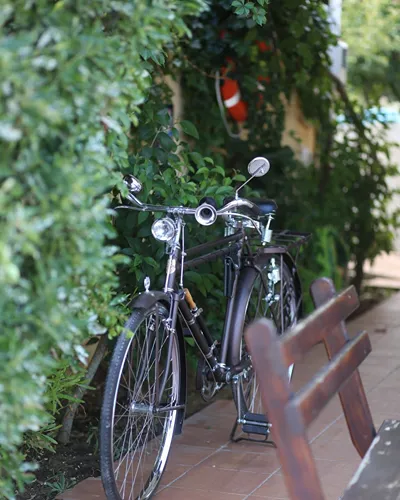 Sunflower Apartments & Studios Zakynthos