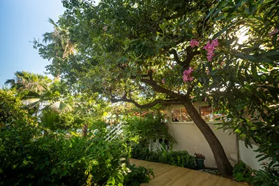 Hotel Sissy Kamena Vourla