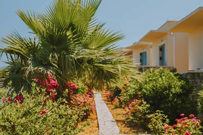 Creta Vitalis