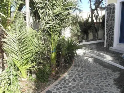 Danae Villa