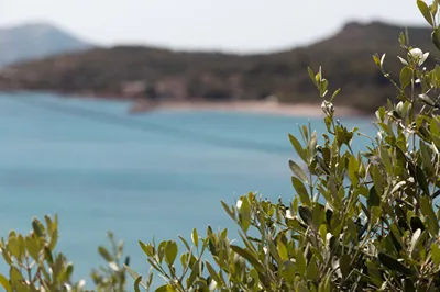 Poseidon Apartments & Villas by the Sea