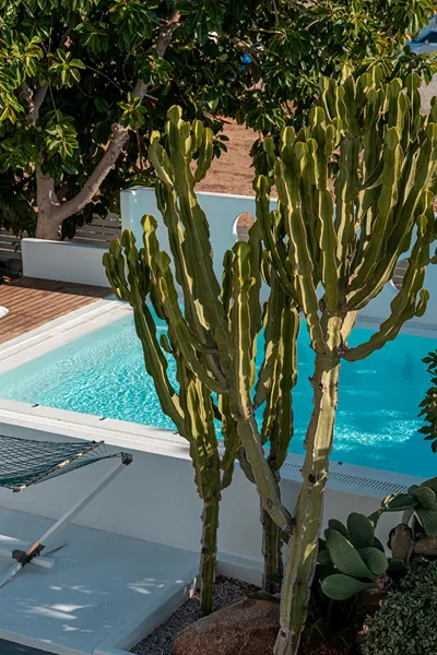 La Stella Hotel Mykonos