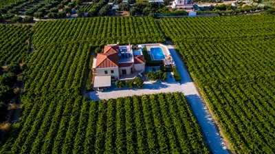 Cretan Vineyard Hill Villa