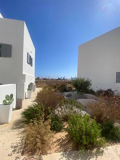 Poema Antiparos