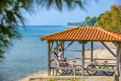 Blue Dolphin Hotel Chalkidiki