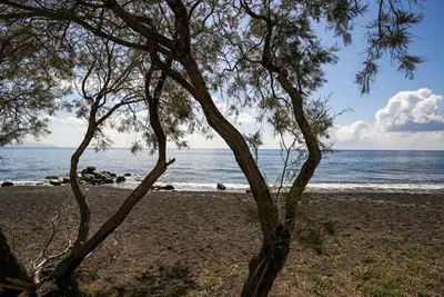 Exi Sea Side Suites