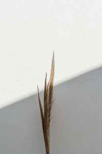 Poema Antiparos