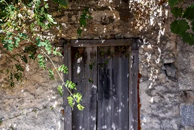 Mala Villa