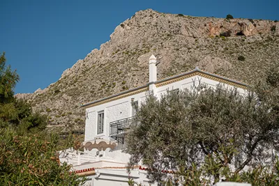 Bellevalia Hydra