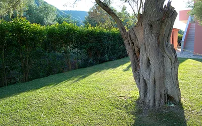 Ionian Breeze Studios Lefkada