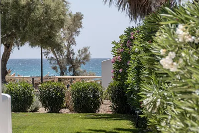 Glaronissi Beach